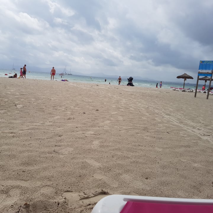 Strand Sofia Alcudia Beach