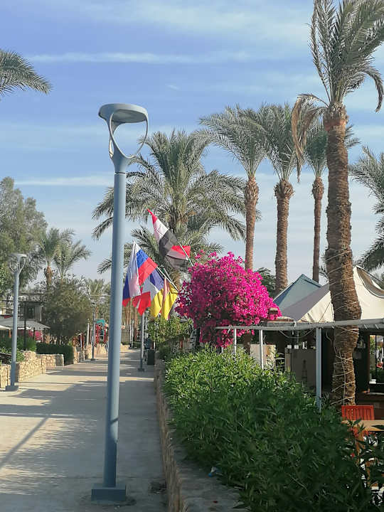 Sonstiges Ghazala Beach