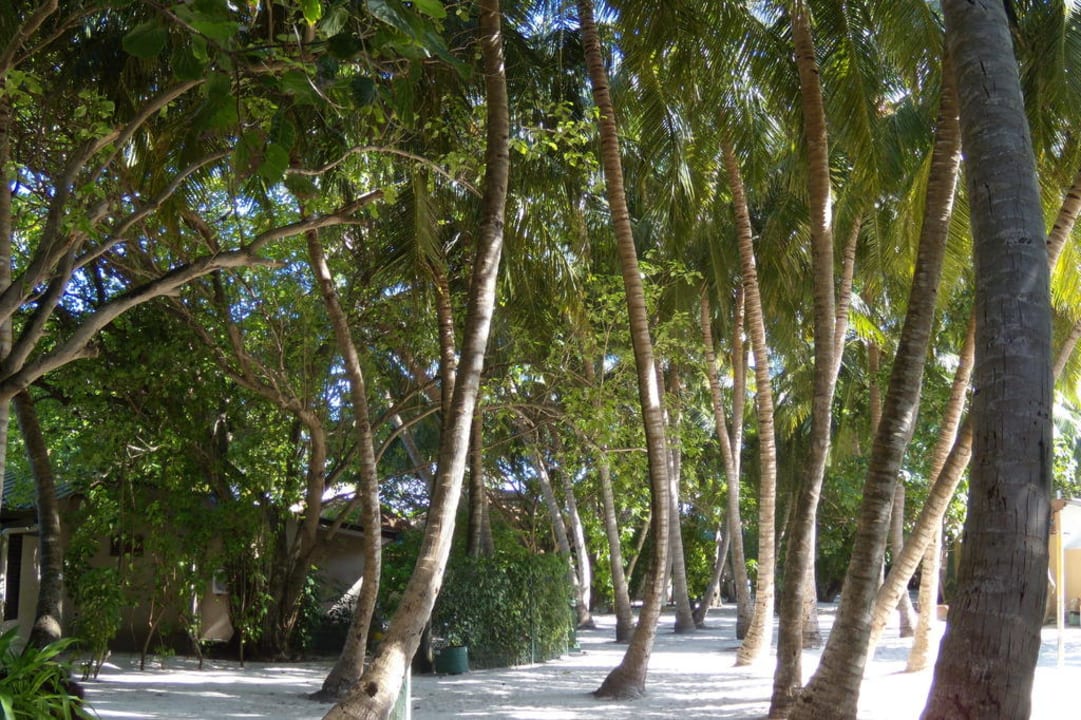 Summer Island Village Summer Island Maldives