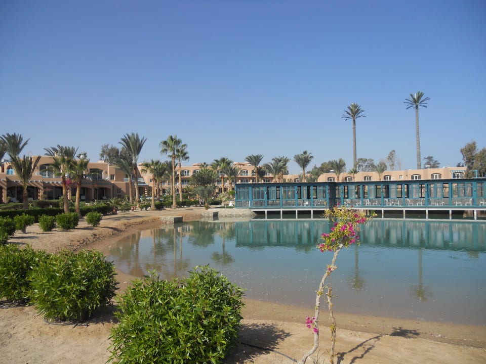Restaurant Club Paradisio El Gouna, Red Sea