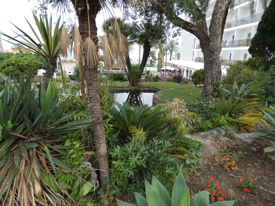 Gartenanlage Hotel Best Siroco