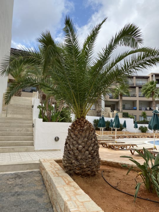 Gartenanlage Grand Hotel Holiday Resort