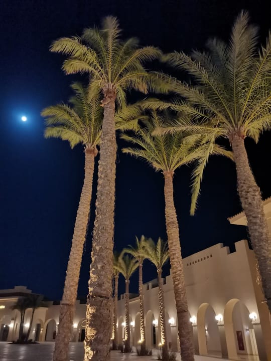 Gartenanlage Cleopatra Luxury Resort Makadi Bay