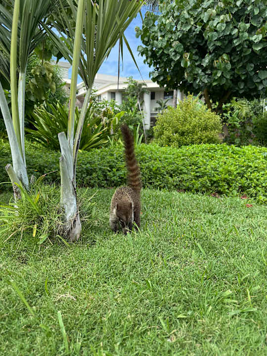Gartenanlage Bahia Principe Grand Tulum