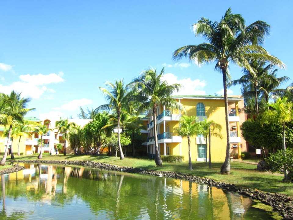Teichanlage mit 2 Haien, leider voll Algen Melia Las Antillas - Adults only