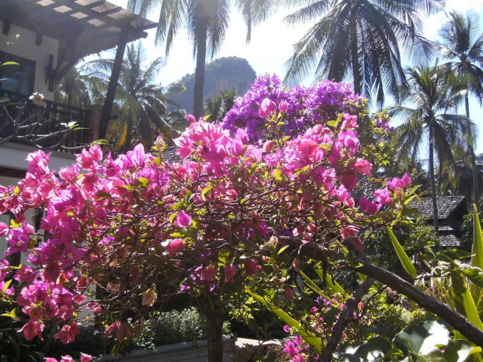 Tropischer Hotelgarten Hotel Railay Village Resort & Spa