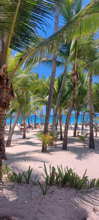Strand Hotel Riu Bambu