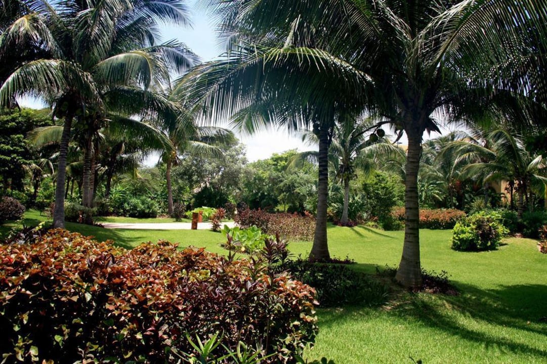 Ein kleines Stück Garten Eden Barceló Maya Grand Resort