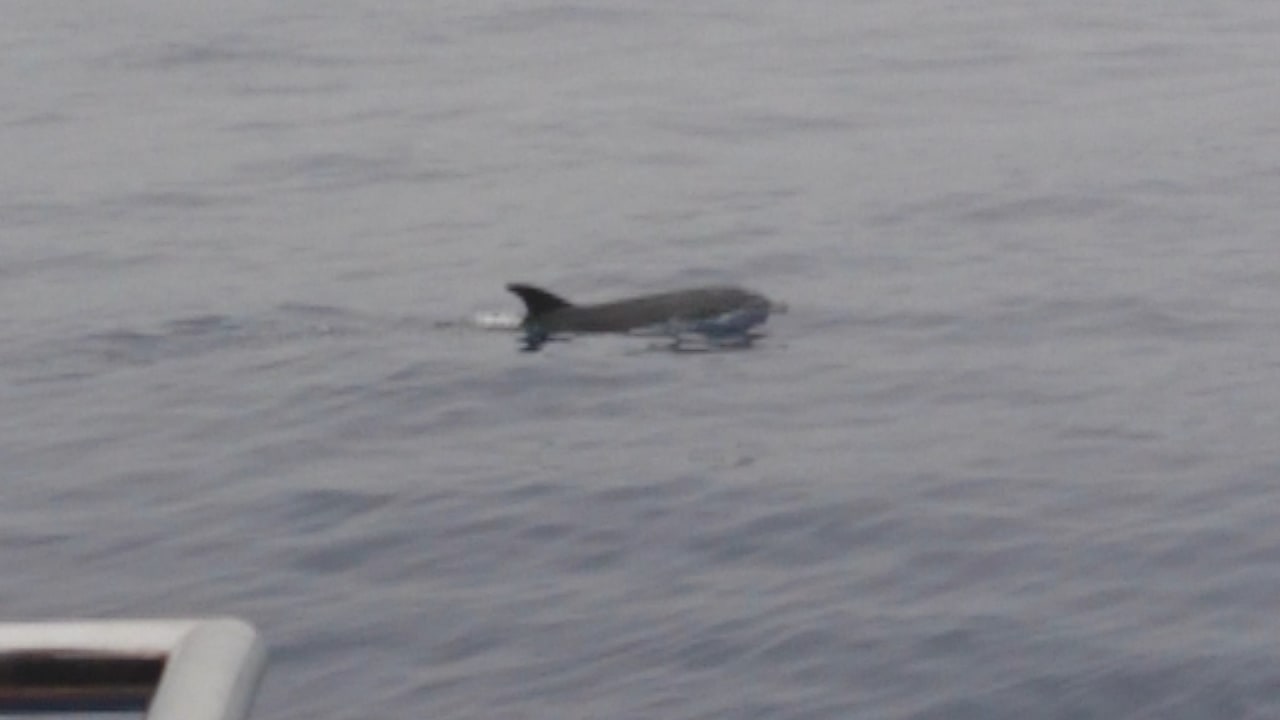 Ausblick Hotel Metropolitan Playa