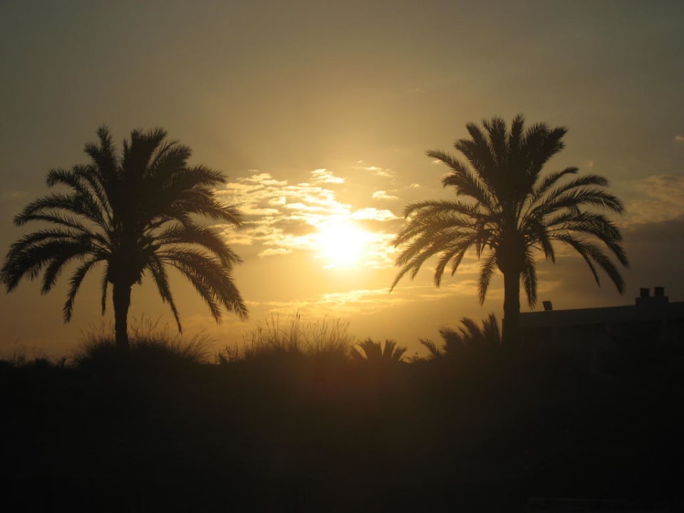 Sonnenuntergang Playa den Bossa FERGUS Style Bahamas