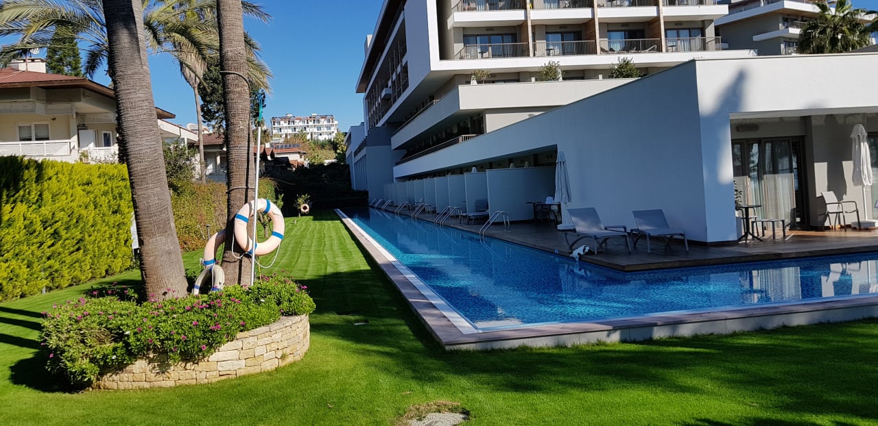 Zimmer Acanthus Cennet Barut Collection