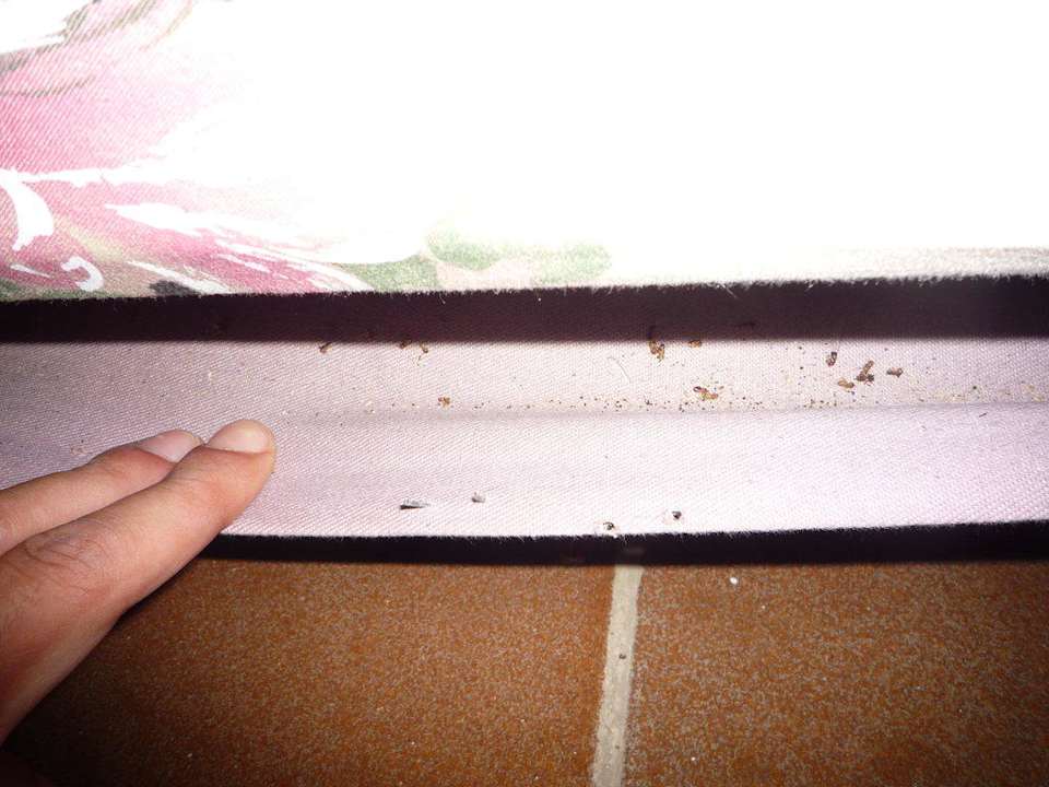 Bett Sol Hicacos Varadero