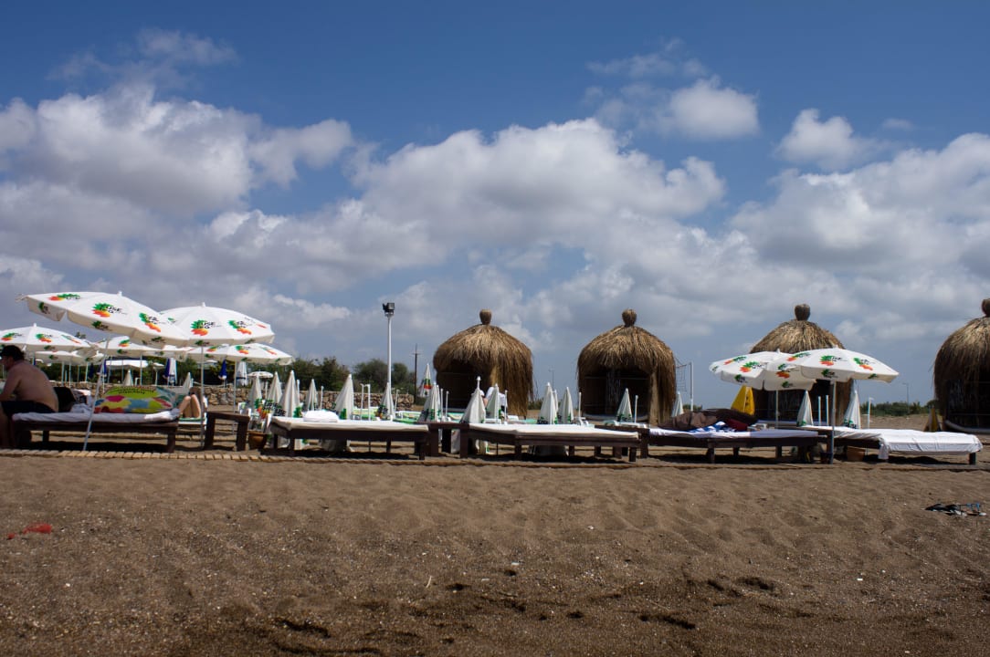 Пляж Prima Hotel