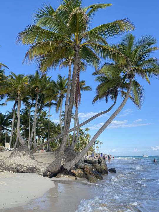 Strand Hotel Riu Palace Punta Cana