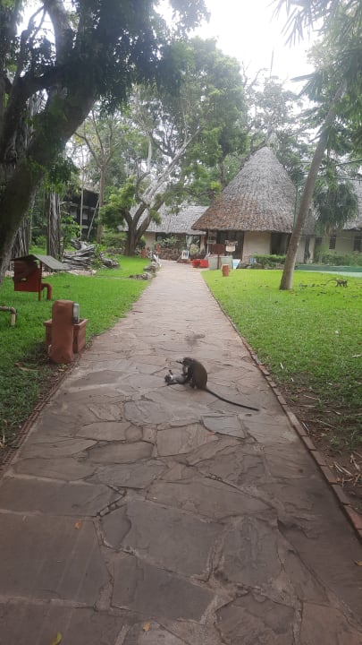 Gartenanlage Baobab Beach Resort & Spa