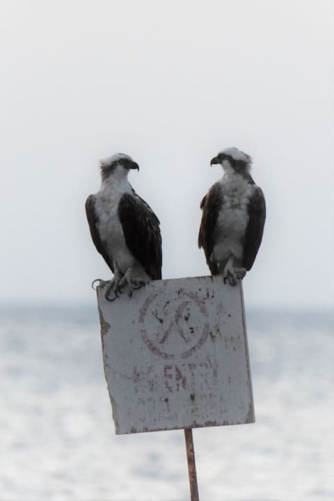 Sonstiges Makadi Spa - Adults only