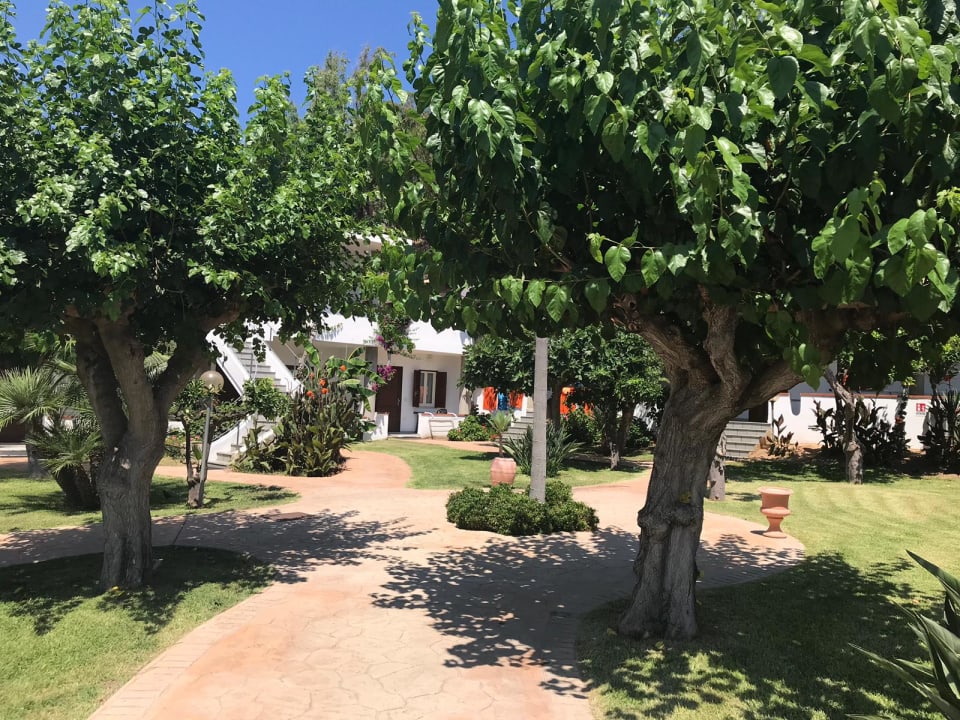 Gartenanlage Hotel Villaggio Il Gabbiano
