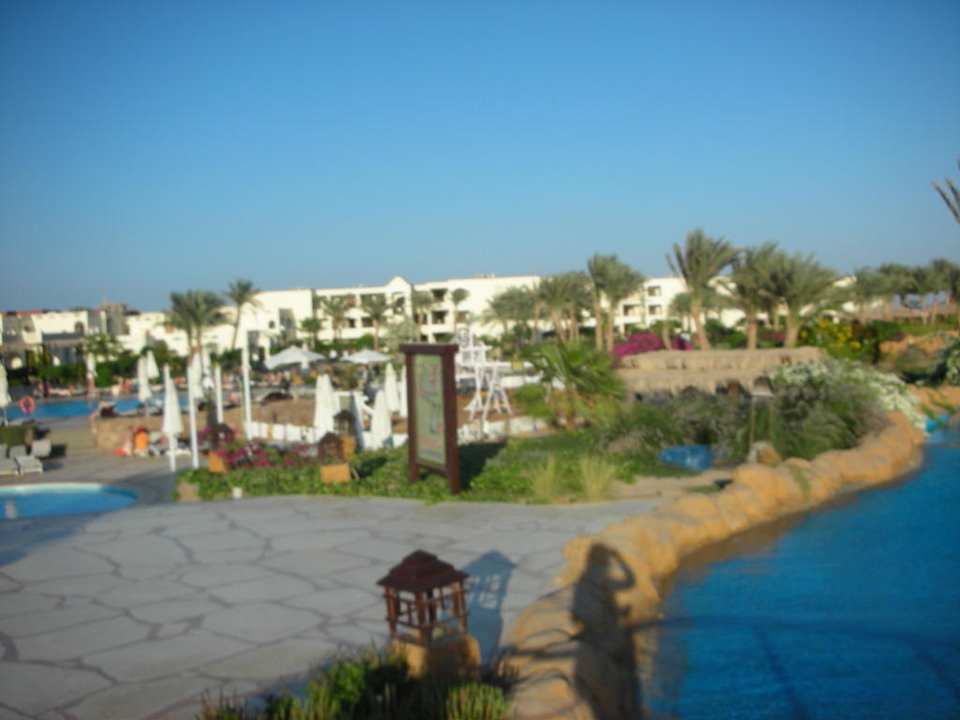 Ogród Regency Plaza Aqua Park & Spa