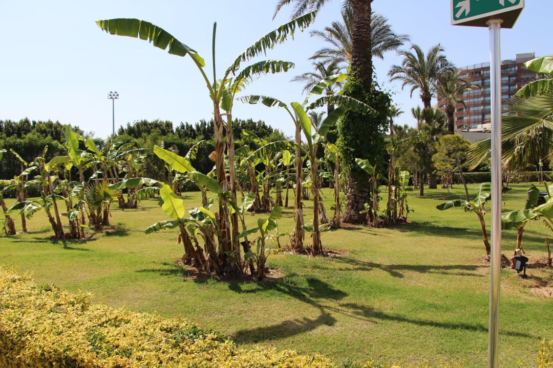 Garten Hotel Miracle Resort