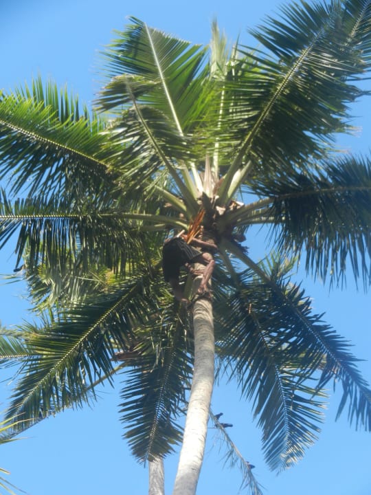 How does he climb up there? Mermaid Hotel & Club