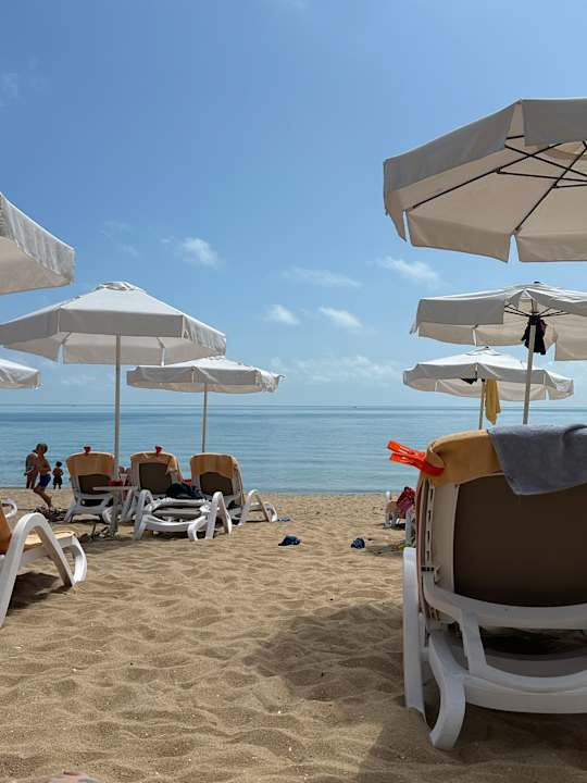 Strand GRIFID Vistamar