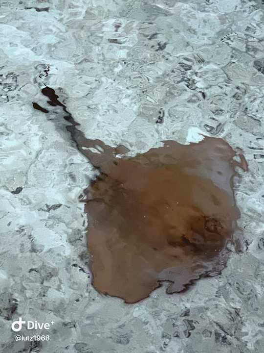 Strand Summer Island Maldives