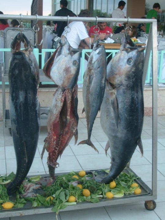 Essen Asteria Family Resort Side