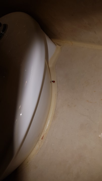 Zimmer Kaya Artemis Resort