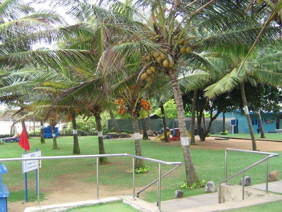 Garten vom Hotel Hotel Camelot Beach