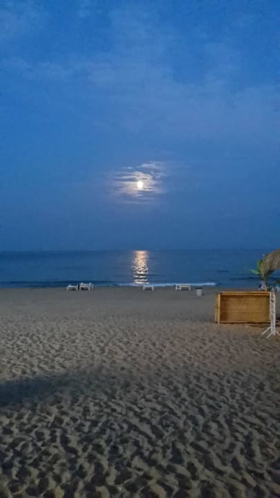 Tagsüber Odessos Park Hotel