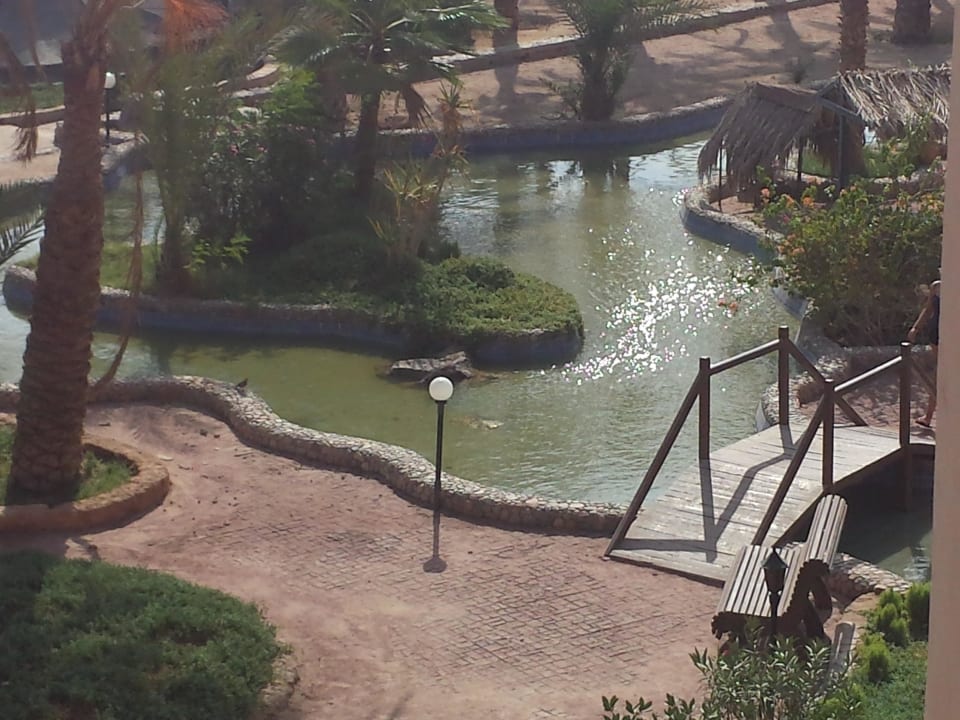 Poollandschaft in grün  Giftun Azur Resort