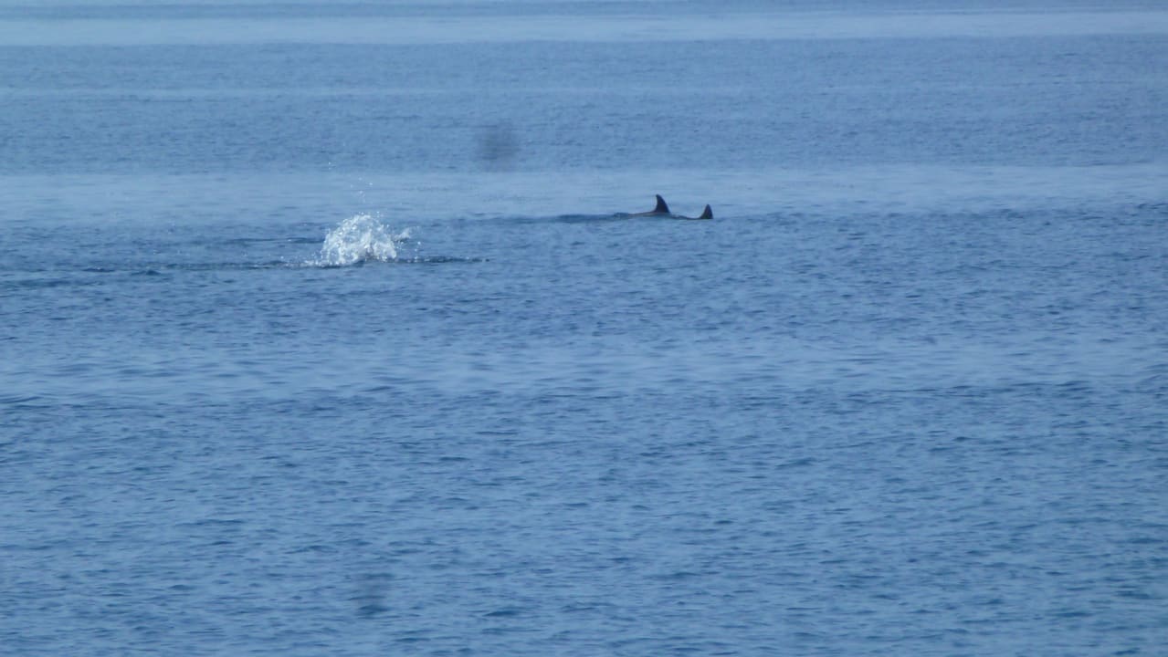 Strand Adaaran Select Meedhupparu Island Resort - Premium All Inclusive