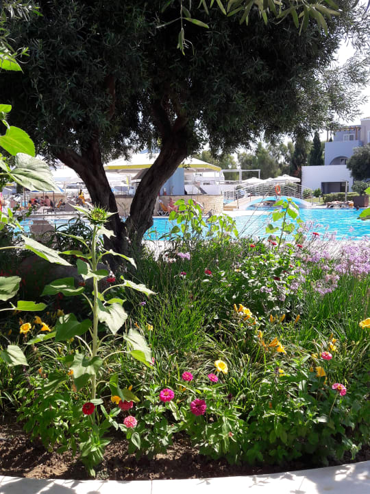 Gartenanlage Atlantica Marmari Palace