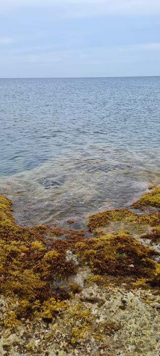 Strand Rodos Princess Beach Hotel & Spa