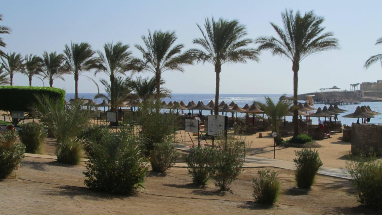 Strandbereich des Coraya Steigenberger Coraya Beach - Adults only