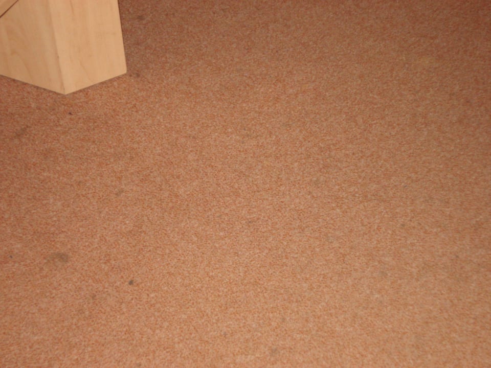 Verschmutzter Teppich vom Apartment Ferienwohnungen Ferienpark Weissenhäuser Strand