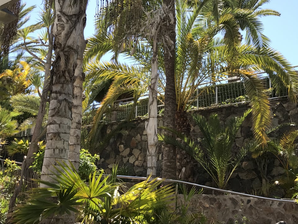 Außenansicht Abora Catarina by Lopesan Hotels