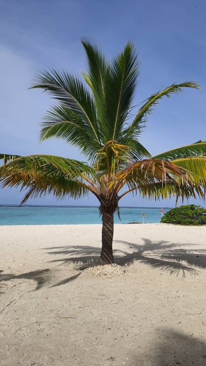 Strand Adaaran Select Meedhupparu Island Resort - Premium All Inclusive