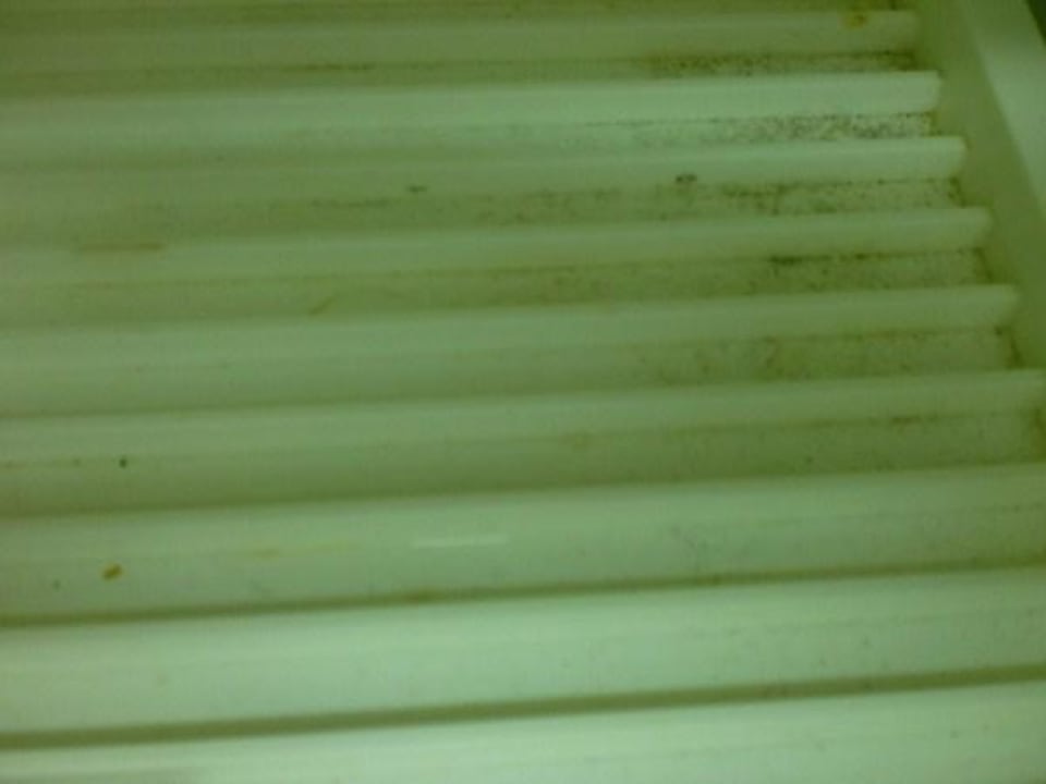 Geschirrablage Apartamentos Playa Ferrera