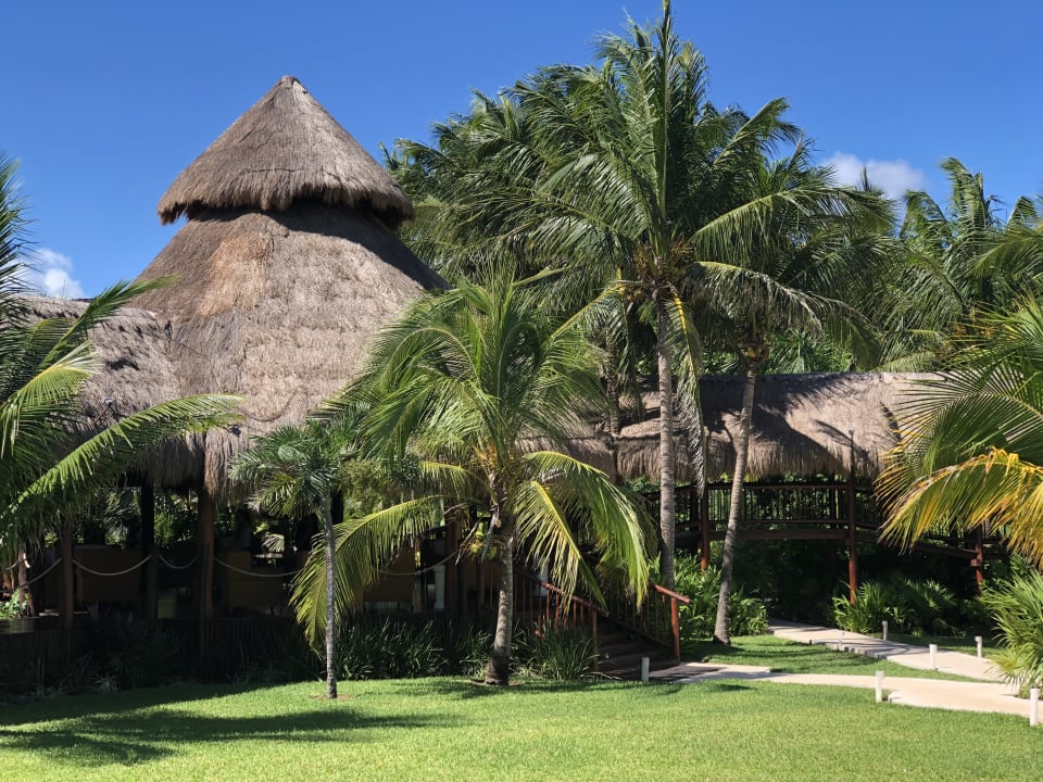 Gartenanlage Akumal Bay Beach & Wellness Resort