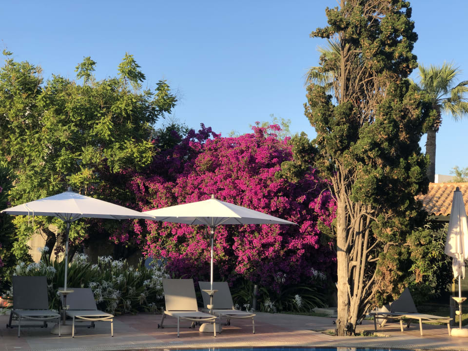 Pool Caravia Beach Hotel