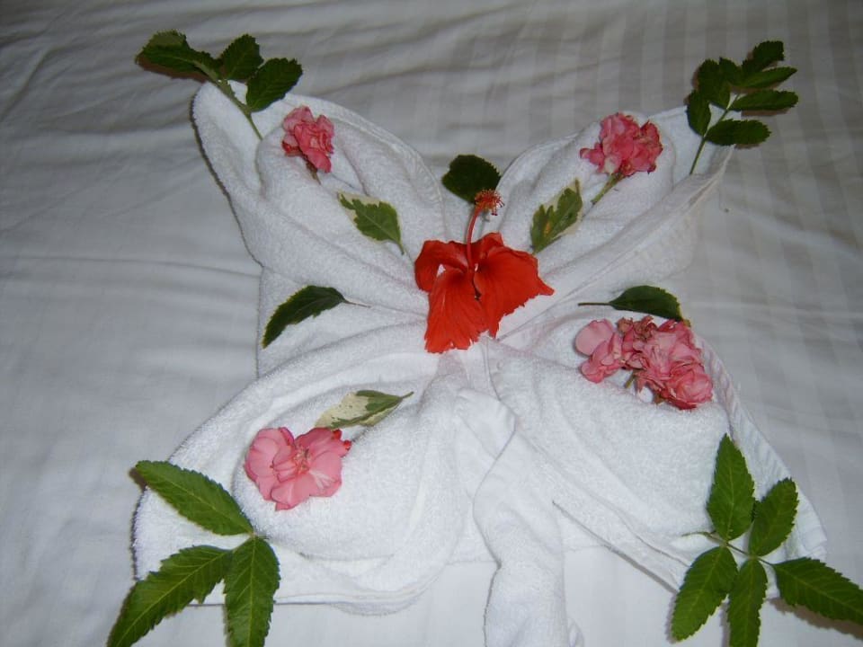 Handtuchkunst Serenity Alpha Beach