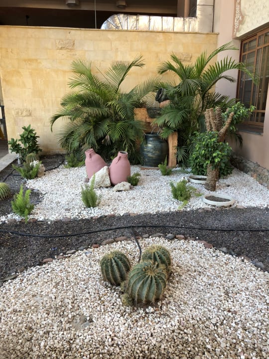 Gartenanlage Pickalbatros Palace Resort