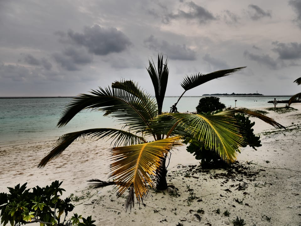 Strand Adaaran Select Meedhupparu Island Resort - Premium All Inclusive