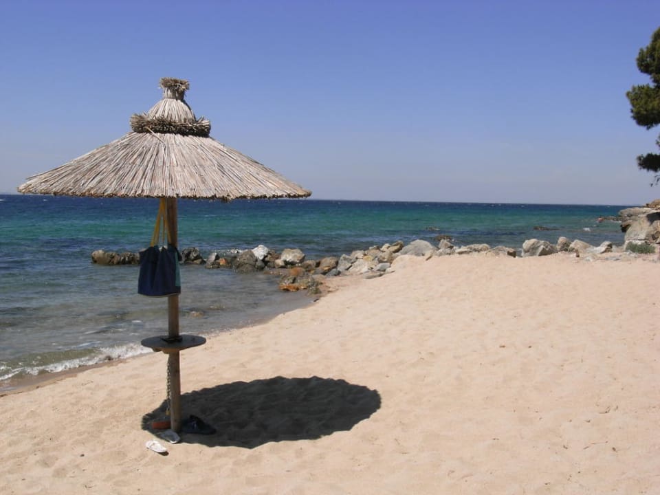 Strandschirm mit Meer Blue Dolphin Resort Hotel