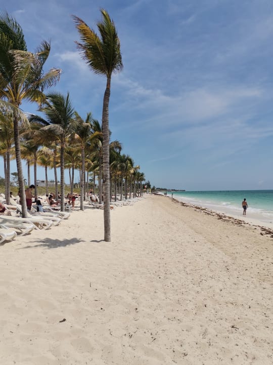 Strand Hotel Riu Dunamar