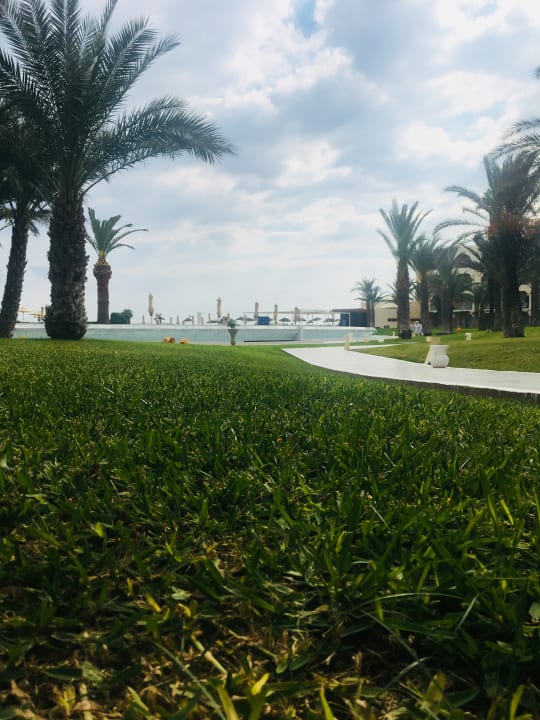 Gartenanlage Iberostar Waves Averroes