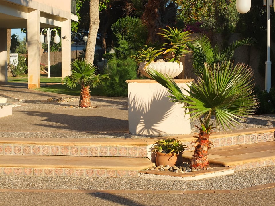 Bepflanzung R2 Lago Playa Park