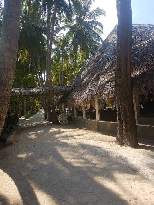Gastro Ellaidhoo Maldives by Cinnamon