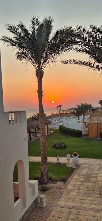 Gartenanlage JAZ Neo Reef Marsa